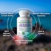 Zeolite Detox Capsules 120 Zeolite Capsules 1 2 ¬µm Clinoptilolite Zeolite Detox 2 Months Supply Zeolite Clinoptilolite Capsules Zeolite Sorbolit Deto